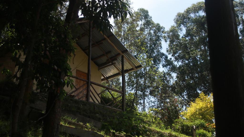 Amasiko Homestay Lake Bunyonyi Kabale Kültér fotó